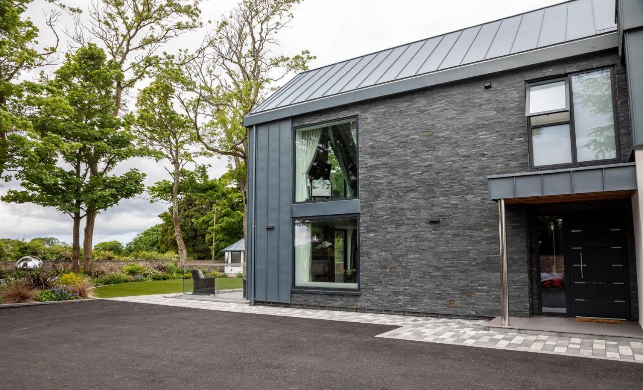 Dafarn Newydd Studio 兰盖夫尼 外观 照片